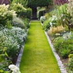 Come prendersi cura del giardino: trucchi e consigli per l’estate