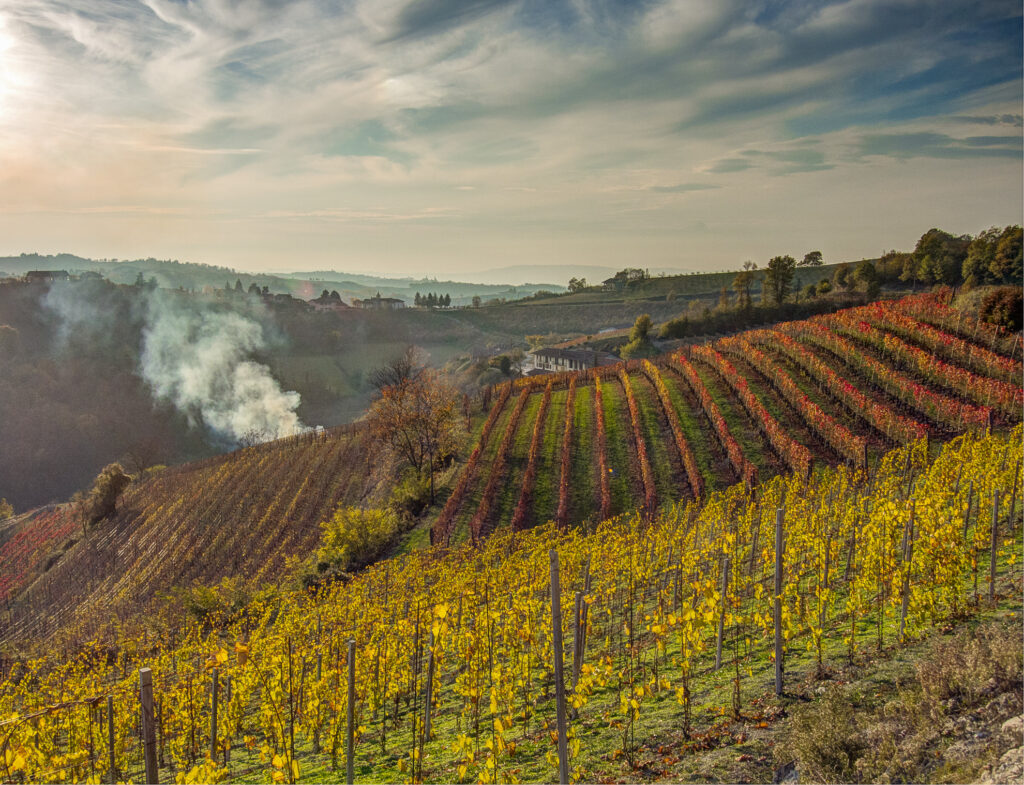 Tour nel Chianti o tour nelle Langhe