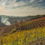 Tour nel Chianti o tour nelle Langhe