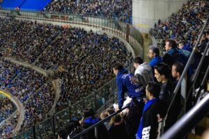Fiorentina a rischio Serie B, ma quanto è sentito oggi il calcio a Firenze?